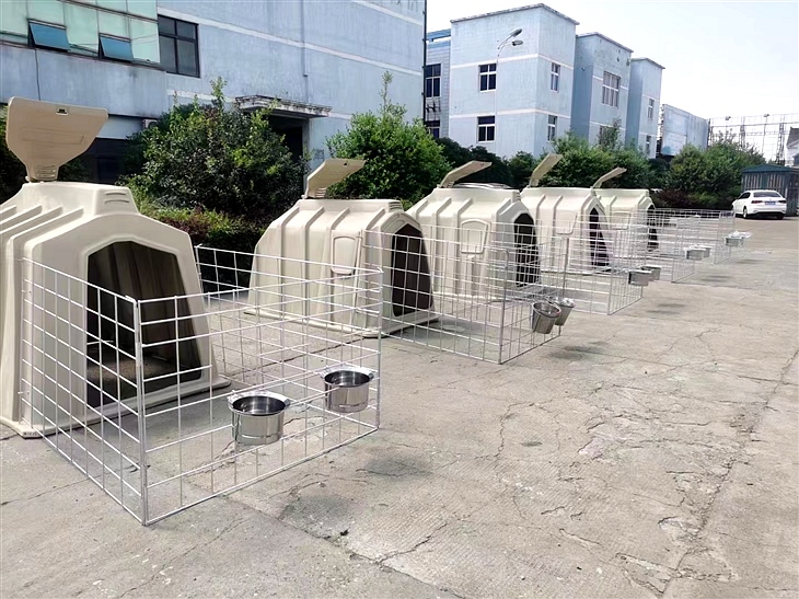 犊牛岛 犊牛岛