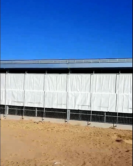 荔枝视频在线观看免费最新卷帘 荔枝视频在线观看免费最新卷帘